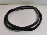 TÃ¼rgummis Rechts Vorne 13149760 Opel Vectra C GTS SchrÃ¤gheck 5-drs 2.2 DIG 16V (Z22YH(Euro 4)) 2006-02