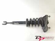 Federbein rechts vorne Audi A4 Avant 8E, B7 8E0413031CT