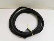 Türgummis Rechts Vorne Renault Scénic II (JM) Großraumlimousine 1.5 dCi 80 (K9K-722) 2005