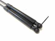 Gasdruckfedern Set Hinten 8200385560 Renault Twingo II (CN) Schrägheck 3-drs 1.2 16V (D4F-770) 2012-08