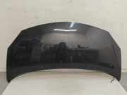 Motorhaube 7751477649 Renault Twingo II (CN) Schrägheck 3-drs 1.2 16V GT TCE (D4F-782(Euro 5)) 2007-11