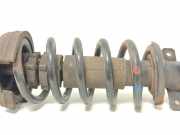 Federbein Links Vorne 8200723279 Opel Vivaro Van 2.0 CDTI (M9R-788) 2011-06