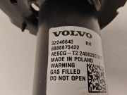 Federbein Rechts Vorne 32221901 Volvo XC40 (XZ) SUV 2.0 B4 16V Mild Hybrid (B420T5) 2024-10