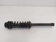 Federbein Links Hinten YS6118K076AC Ford Fiesta 4 SchrÃ¤gheck 1.6 16V (L1V) 2001-06