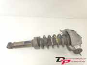Federbein rechts hinten Audi Q7 4L 7L8512021BB