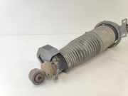 Federbein Rechts Hinten 7L8616020 Audi Q7 (4LB) SUV 3.0 TDI V6 24V (BUG) 2006-08