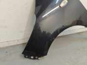 Kotflügel Links Vorne 663110X300 Hyundai i10 (F5) Schrägheck 1.1i 12V (G4HG) 2009-07
