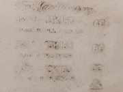 Scheibenwaschbehälter Vorne 3M5113K163AC Ford Kuga I SUV 2.0 TDCi 16V (UKDA(Euro 5)) 2010-01