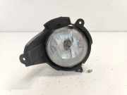 Nebelscheinwerfer Links Vorne 00015691 Daewoo / Chevrolet Captiva (C100) SUV 3.2 V6 24V 4x4 (10HM) 2007-03