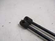 Gasdruckfedern Set Hinten 97KGB406A10AA Ford Ka I Schr?gheck 1.3i (J4N) 2001-09