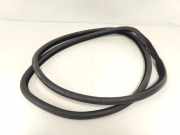 TÃ¼rgummis Links Hinten 7199775 BMW 5 serie Touring (F11) Kombi 520d xDrive 16V (N47-D20C) 2013-10
