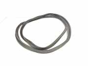 Heckklappe Gummi 90830JD000 Nissan Qashqai (J10) SUV 2.0 16V (MR20DE(Euro 5)) 2009-06