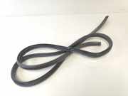 Türgummis Links Hinten 831101J000 Hyundai i20 Schrägheck 1.2i 16V (G4LA) 2009-01