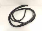 TÃ¼rgummis Links Vorne F15159760C Mazda RX-8 (SE17) CoupÃ© 1.3 Renesis (13B-MSP) 2006-05