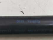 Gasdruckfeder Set Vorne 51237118370 BMW 1 serie (E87/87N) Schrägheck 5-drs 120d 16V (N47-D20A) 2004