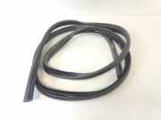 Türgummis Links Vorne 76921JD000 Nissan Qashqai (J10) SUV 1.6 16V (HR16DE) 2011-06