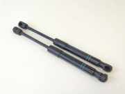 Gasdruckfeder Set Vorne 51237239233 BMW 1 serie (F20) Schrägheck 5-drs 114i 1.6 16V (N13-B16A) 2014-05