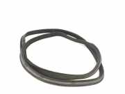 T?rgummis Links Hinten Mercedes-Benz C (W204) Limousine 3.0 C-320 CDI V6 24V (OM642.960) 2007-09