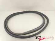 Türgummi links vorne Renault Clio Grandtour IV R 808324424R