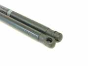 Gasdruckfeder Set Vorne A2049800064 Mercedes-Benz C (W204) Limousine 3.0 C-320 CDI V6 24V (OM642.960) 2007-09