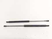 Gasdruckfedern Set Hinten 51778432 Fiat Punto Evo (199) Schrägheck 1.3 JTD Multijet 85 16V (199.B.4000(Euro 5)) 2011-06