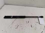 Gasdruckfeder Set Vorne 8357NO0250N Fiat Stilo (192A/B) SchrÃ¤gheck 2.4 20V Abarth (192.A.2000) 2003