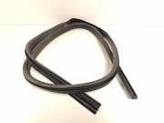 T?rgummis Rechts Hinten BM51N25324AF Ford Focus 3 Wagon Kombi 1.0 Ti-VCT EcoBoost 12V 125 (M1DC) 2013-06