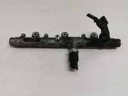 Einspritzdüsen Düsenstock 0445214019 Peugeot 306 Break (7E) Kombi 2.0 HDi (DW10TD(RHY)) 2001