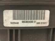 Lüfter 9653804080 Peugeot 207/207+ (WA/WC/WM) Schrägheck 1.6 16V VTi (EP6C(5FS)) 2007-09