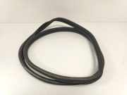 TÃ¼rgummis Links Hinten 8200428869 Renault Clio III (BR/CR) SchrÃ¤gheck 1.2 16V 75 (D4F-740) 2006-09