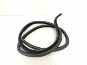 TÃ¼rgummis Links Hinten 7060268 BMW 3 serie (E90) Limousine 318i 16V (N43-B20A) 2008-02