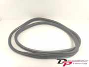 Türgummi links vorne Renault Zoe Kasten/Schrägheck BFM 808326900R