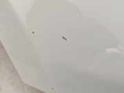 Kotflügel Rechts Vorne 51901102 Fiat Punto Evo (199) Schrägheck 1.3 JTD Multijet 85 16V (199.B.4000(Euro 5)) 2011-09