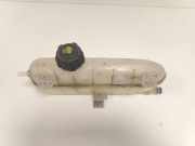 Ausgleichbeh?lter 217101652R Renault Zo? (AG) Schr?gheck 5-drs R90 (5AQ-601) 2016-03