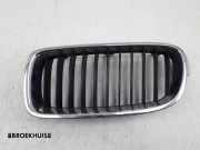 Kühlergrill links BMW 3er Touring F31 7255411