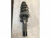 Federbein links vorne Skoda Fabia II 542 6Q0413031BJ