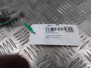Blinker Scherm Links Vorne Peugeot 207/207+ (WA/WC/WM) Schrägheck 1.6 HDi (DV6DTED(9HP)) 2011-12