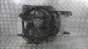 Kühlerventilatormotor Renault Trafic New (FL) Van 2.0 dCi 16V 90 (M9R-786) 2010-05