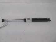 Gasdruckfeder Rechts Hinten 8200000902 Renault Laguna II (BG) Schrägheck 5-drs 1.9 dCi 120 (F9Q-750) 2004-08