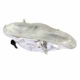 Tageslicht - Fiat Panda/Pandina (312) Schrägheck 1.2 69 (169.A.4000) 2016-12