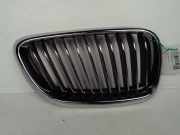 Grill Gitter Rechts 51117452300 BMW 2 serie (F22) Coupé 218d 2.0 16V (B47-D20A) 2017-09