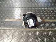 Nebelscheinwerfer Rechts Vorne 93180862 Opel Agila (A) Großraumlimousine 1.2 16V (Z12XE) 2001-03