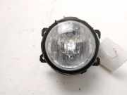 Nebelscheinwerfer Rechts Vorne 1826337 Ford EcoSport (JK8) SUV 1.0 EcoBoost 12V 125 (M1JJ) 2017-04