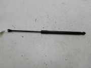 Gasdruckfeder Links Hinten 904508213R Renault Clio V (RJAB) Schrägheck 5-drs 1.5 Blue dCi 100 (K9K-876) 2022-08