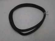 Türgummis ACHTER Citroën C4 Picasso (3D/3E) Großraumlimousine 1.6 BlueHDI 120 (DV6FC(BHZ)) 2016-06