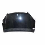 Motorhaube 1698800057 Mercedes-Benz A (W169) Schrägheck 1.7 A-170 (M266.940) 2005-12