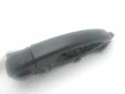 T?rgriff Links Hinten Hinten Renault Trafic (1FL/2FL/3FL/4FL) Van 2.0 dCi 16V 120 (M9R-710(M9R-V7)) 2020-10