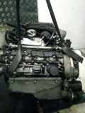 Motor DIESEL 6120108402 Mercedes-Benz MERCEDES CLASSE CLK 2 C209 PHASE 1 2004-04