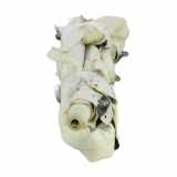 Dachairbag Links 985P12566R Renault Clio V (RJAB) Schrägheck 5-drs 1.5 Blue dCi 115 (K9K-872) 2020-07