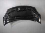 Motorhaube 7901R1 Citroën C3 (SC) Schrägheck 1.4 (TU3AE5(KFT)) 2010-12